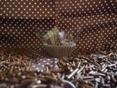 Brigadeiro Tradicional